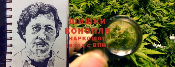 соль курить ск Бородино