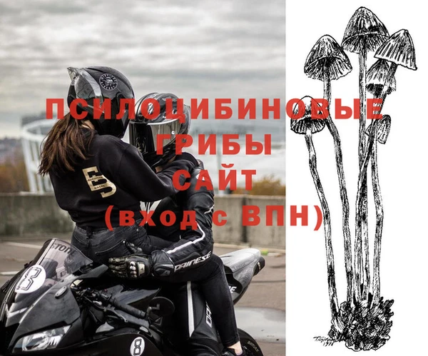 соль курить ск Бородино
