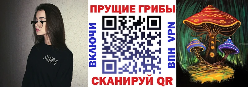 Псилоцибиновые грибы GOLDEN TEACHER  Купить закладки  Плёс 